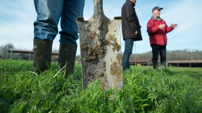 Agriculteurs dans un champ avec une pelle au premier plan