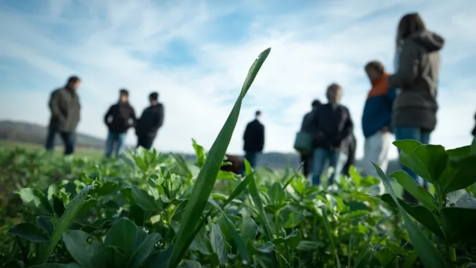 agriculteurs dans un champ