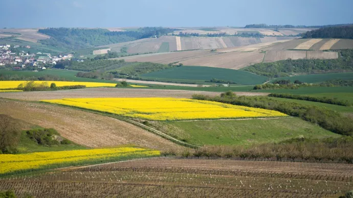 paysage agricole