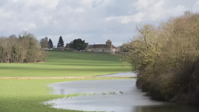 Terre agricole innondée