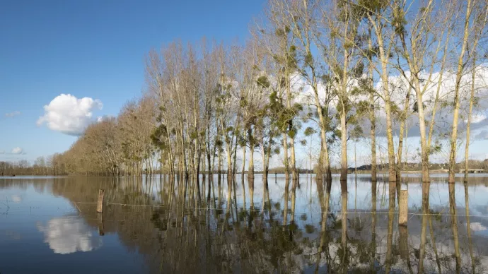 Crue de la Sarthe. Prairie inondée