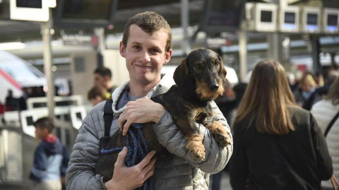 Chien dans les bras de son propriétaire sur le quai d'une gare