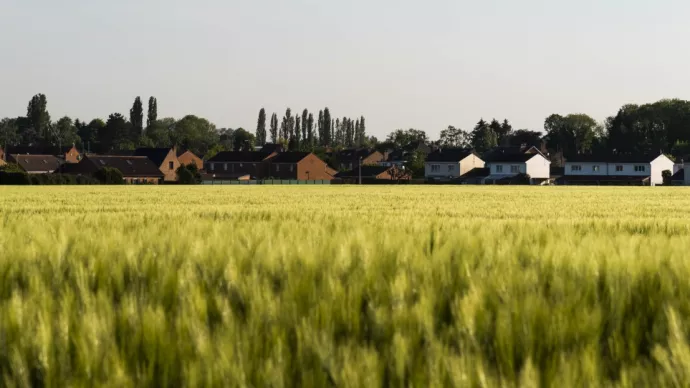 Champ de céréales avec des logements en arrière plan