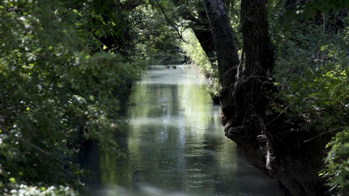 cours d'eau