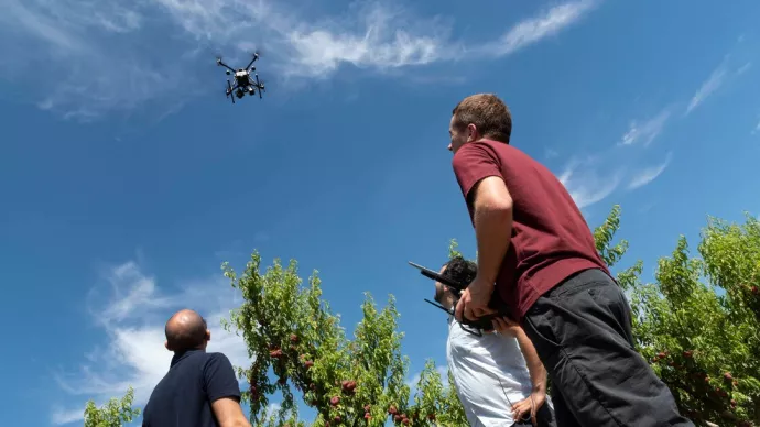 Vol d'un drone au-dessus d'un verger.