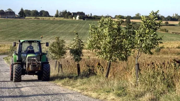 Crédit ci-après