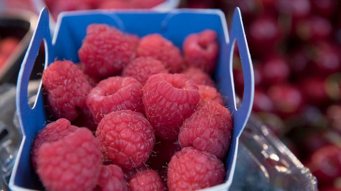 Barquette de framboises.