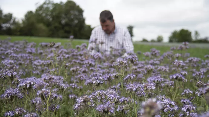 Horticulteur dans son champs de fleurs