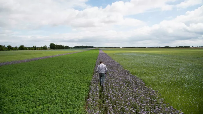 Crédits ci-après