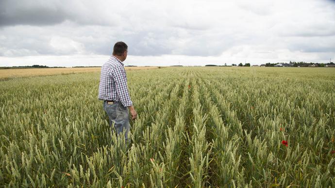 Agriculteur dans champ bio