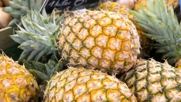 Ananas en gros plan