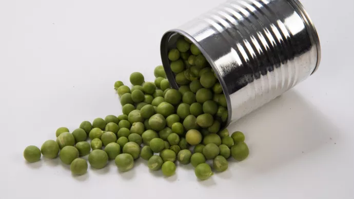 Une boîte de conserve de petit pois ouverte.