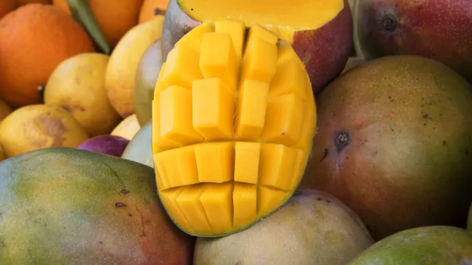 Une mangue ouverte en gros plan