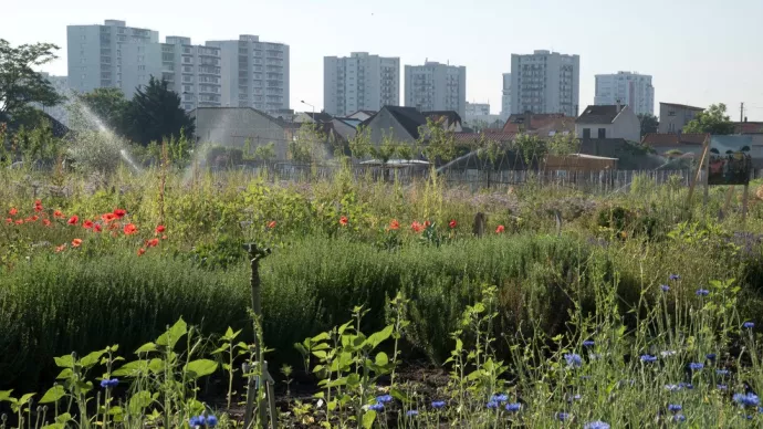 jardin cultivé dans une ville