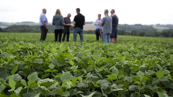 Réunion de terrain dans un champ entre agriculteurs