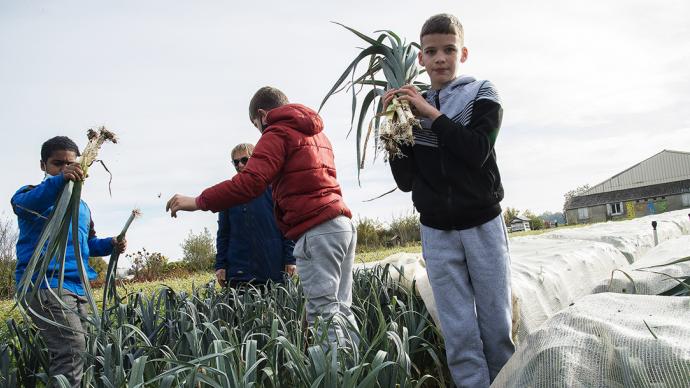 Atelier de récolte des légumes