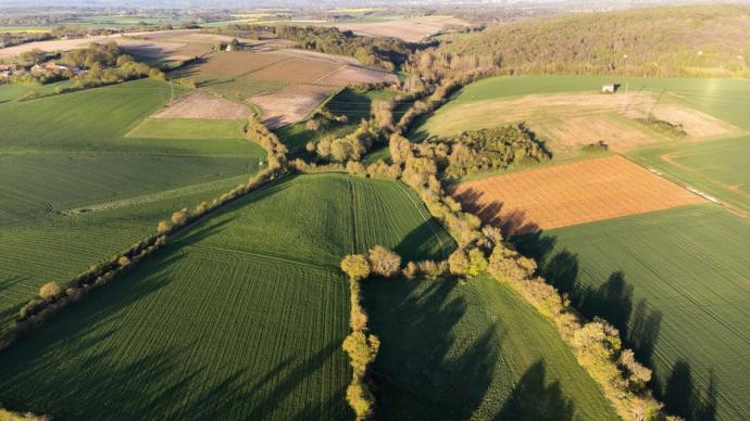 Paysage agricole vue du ciel