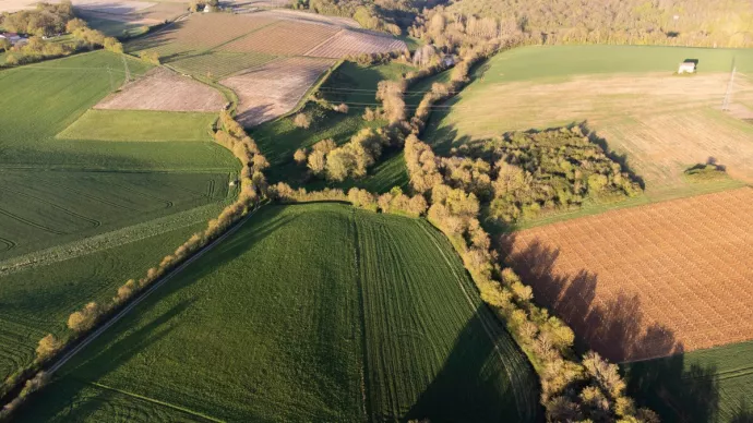 Paysage agricole