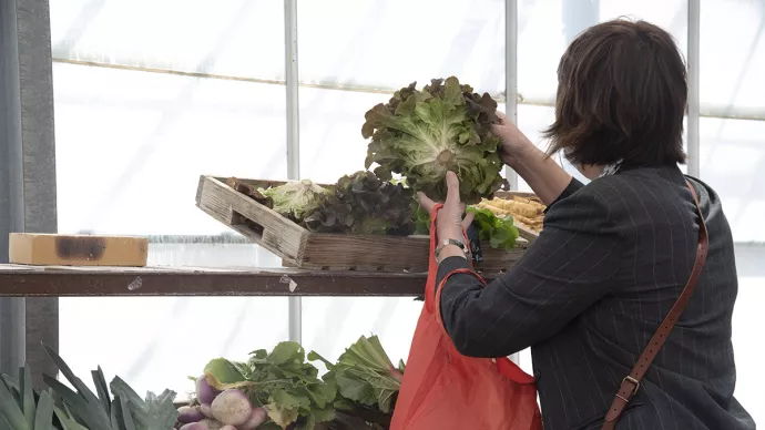 Cliente d'un magasin de producteur prenant une salade