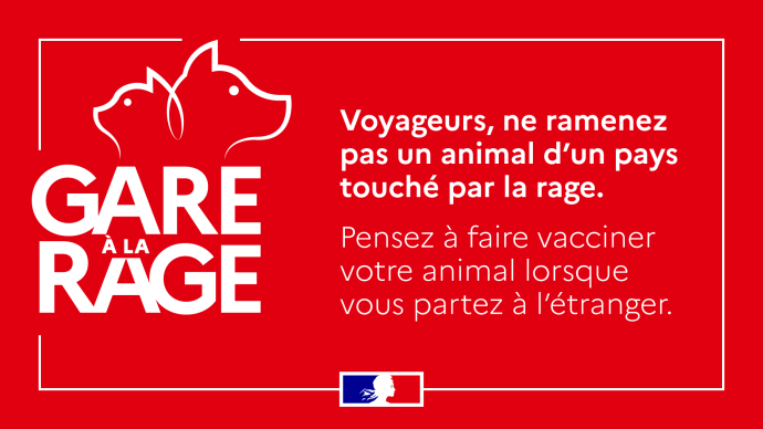 Visuel horizontal en 16/9e de la campagne "Gare à la rage"