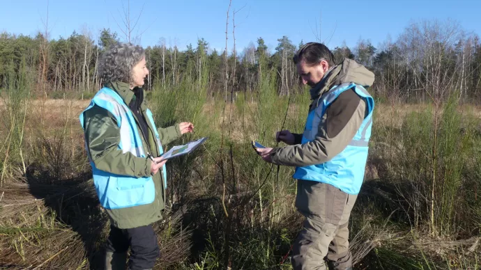 Les agents de la DDT des Vosges s’assurent que les plants sont bien vivants, procèdent à un relevé GPS et à un comptage des arbres.