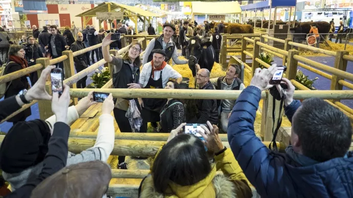 Egérie du salon de l'agriculture prise en photo dans son ring