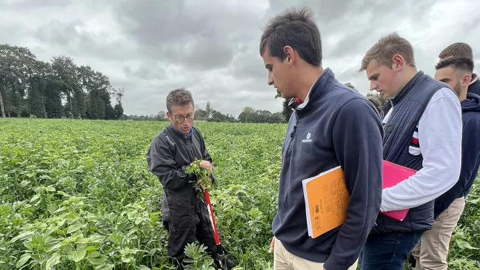 Etudiants observant une parcelle de biocontrôle avec leur enseignant