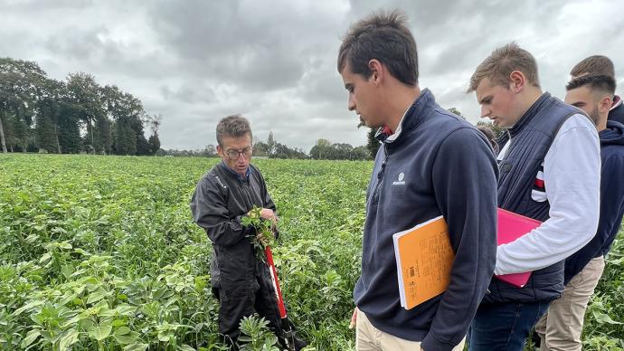 Etudiants observant une parcelle de biocontrôle avec leur enseignant