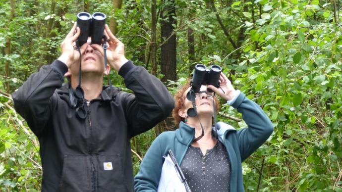 Deux personnes observant à la jumelle l'état des arbres dans une forêt