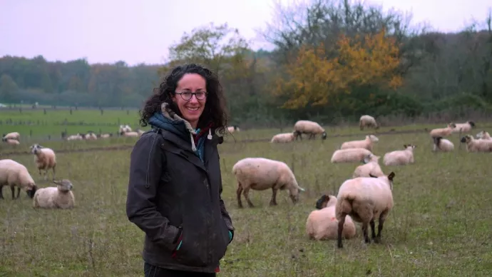 Bergère devant ses moutons