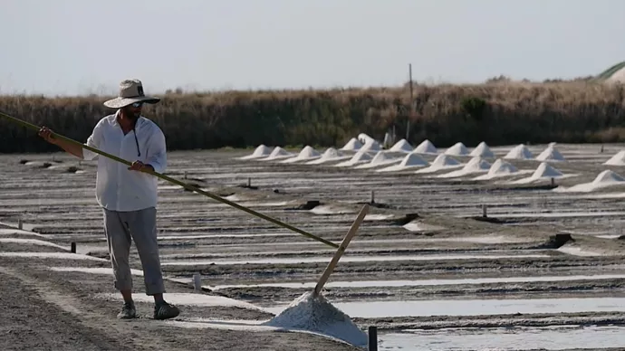 Récolte du gros sel sur l’île de Ré.