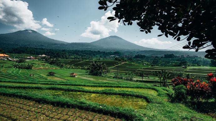 Paysage vietnamien