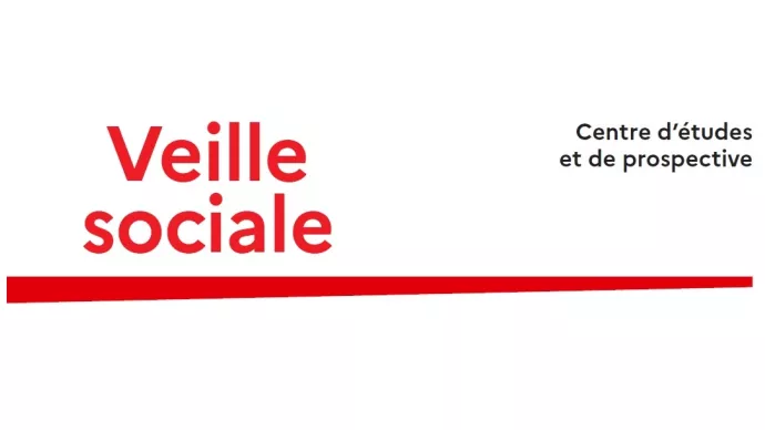 Logo veille sociale centre d'études et de prospective