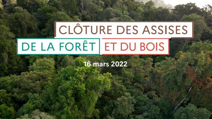 Visuel de clôture des Assises de la Forêt et du Bois