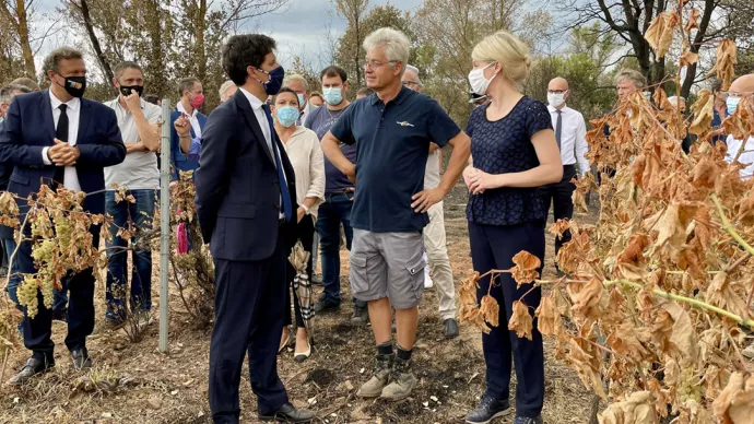 Julien Denormandie aux côtés des viticulteurs du Var