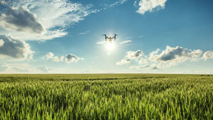 Vol d'un drone au-dessus d'un champ de blé