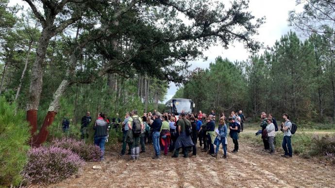 photo des membres des groupes d'enthomologistes et pathologistes forestiers francophones devant une forêt