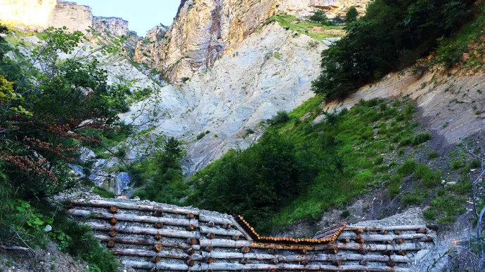 Forêt et barrage en montagne