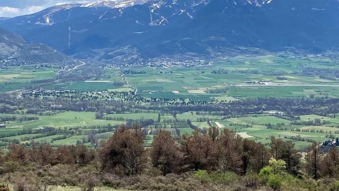 Photo de forêt française