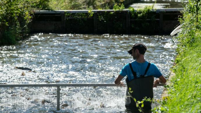 Pisciculteur dans un bassin de l'entreprise Aqualande