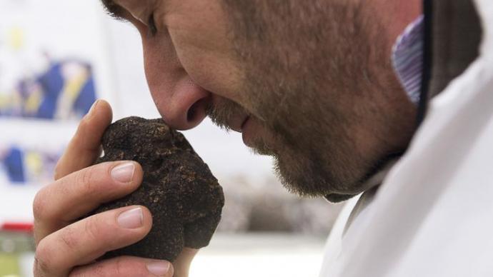 Truffe dans la main de son vendeur