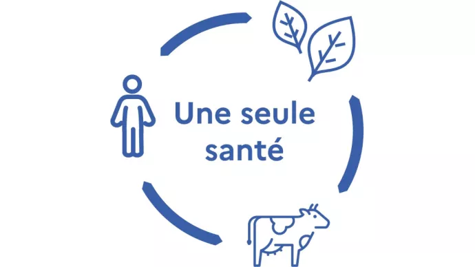 logo une seule santé