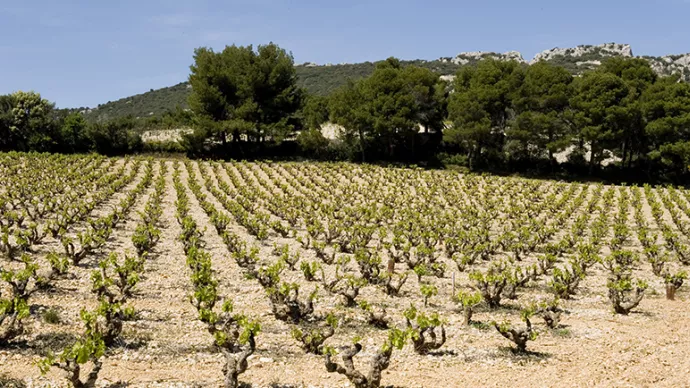 Crédits ci-après