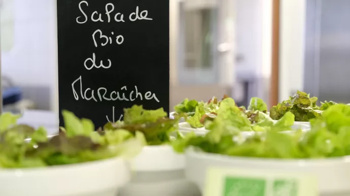 Salade bio en self service