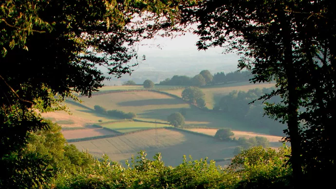 Vue sur le paysage valloné du Morvan