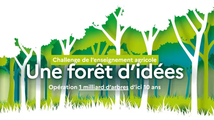 Vignette challenge "Une forêt d'idées"