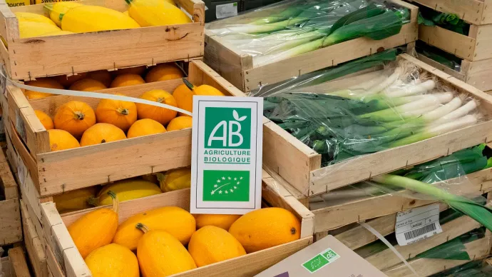 Légumes issus de l'agriculture biologique AB