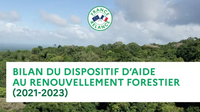 Vignette Bilan du dispositif d'aide au renouvellement forestier (2021-2023)