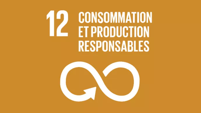 ODD 12 : Consommation et production responsables