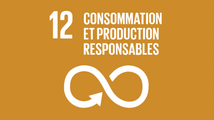 ODD 12 : Consommation et production responsables